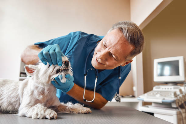 Best Emergency Dental Extractions in Pleasantville, IA